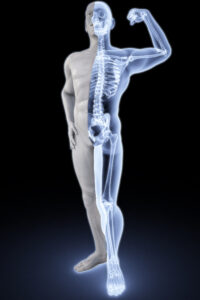 bones picture